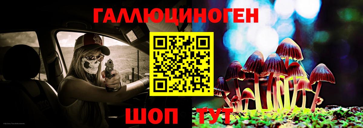 Псилоцибиновые грибы прущие грибы  купить закладку  Тихвин  Вход с VPN 