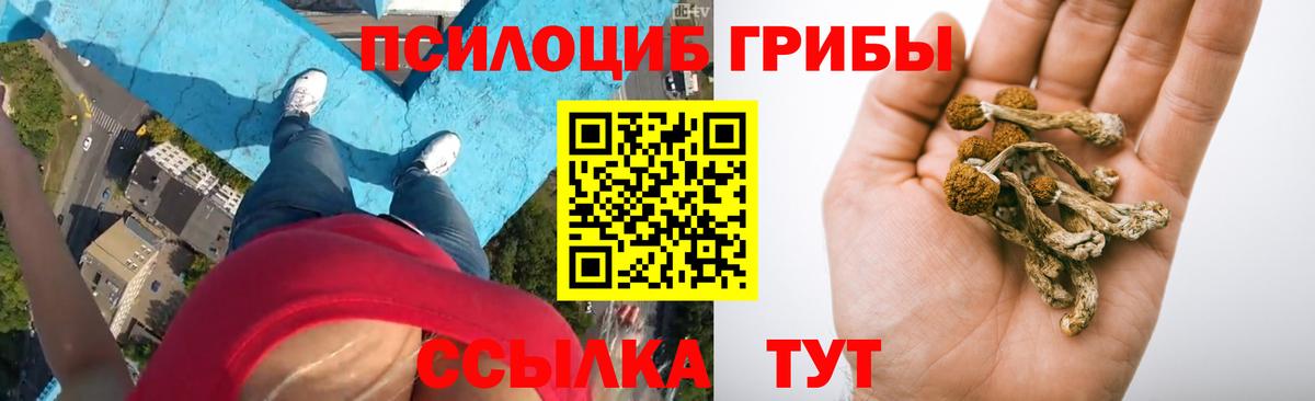Галлюциногенные грибы прущие грибы Тихвин